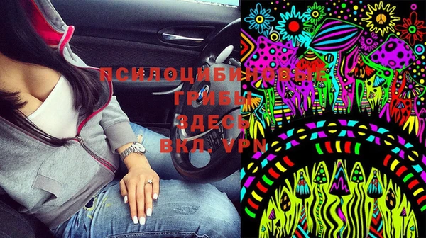 стафф Алексеевка