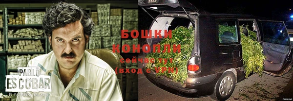 spice Алзамай