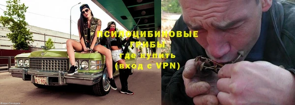 крисы Алексин