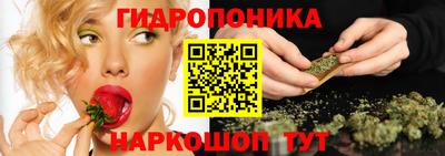 a pvp Аша