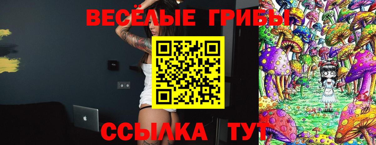 Галлюциногенные грибы прущие грибы  Вход с VPN  Баксан 