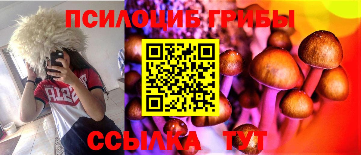 Галлюциногенные грибы MAGIC MUSHROOMS  Псилоцибиновые грибы Magic Shrooms  что такое   Баксан 